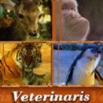 gran_1999991veterinaris.jpg