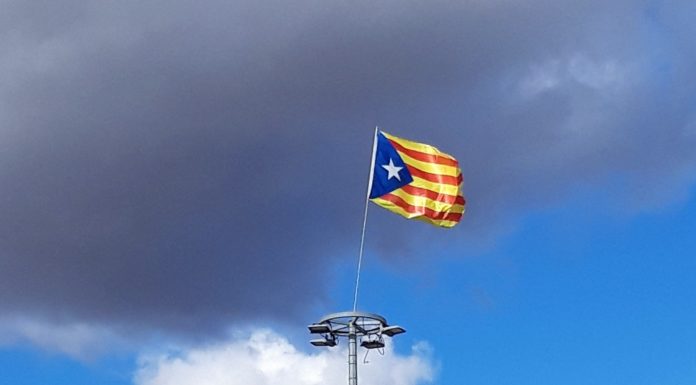 Vots manllevats