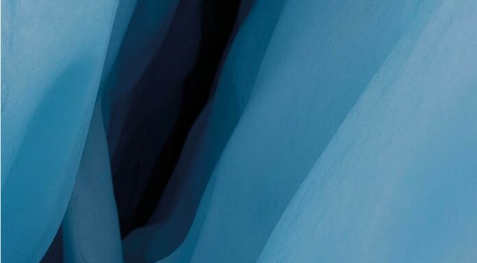 El metrònom d’Elisenda Solsona