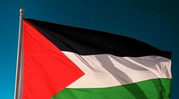 Gaza: no cal dir més Bandera de Palestina