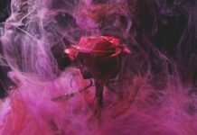 Ànima d’estels Ànima d'estels