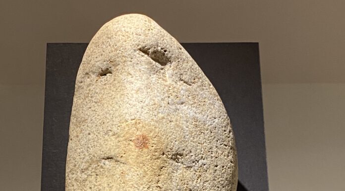 Tornar al solc Empremta dactilar més antiga del món