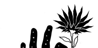 El tema de la mà o de les mans en els exlibris