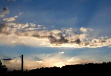 Les últimes vegades