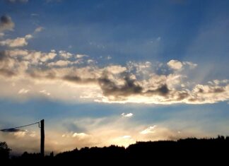 Les últimes vegades