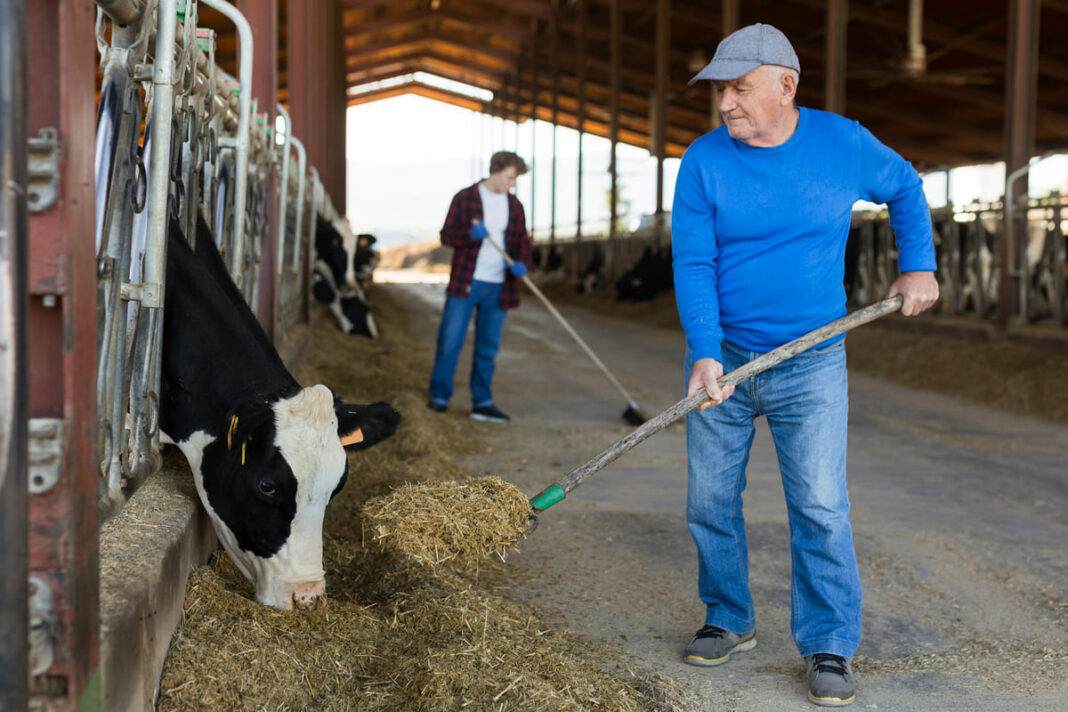 gettyimages-1351896761-2-2