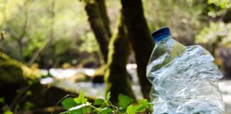Hipocresia mediambiental
